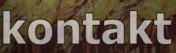 kontakt